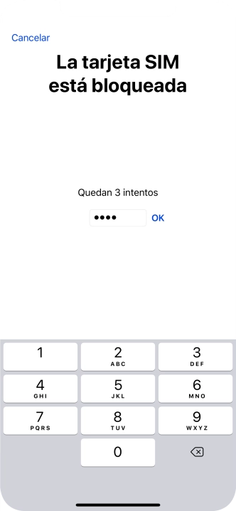 Si es necesario desbloquear la tarjeta SIM, introduce el código PIN y pulsa OK.