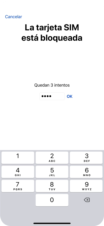 Si es necesario desbloquear la tarjeta SIM, introduce el código PIN y pulsa OK.