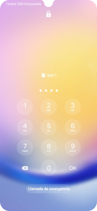 Si lo solicita el teléfono, introduce el código PIN y pulsa OK.