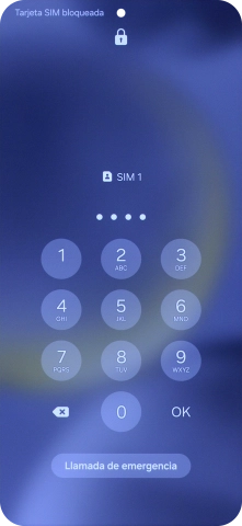 Si es necesario desbloquear la tarjeta SIM, introduce el código PIN y pulsa OK.