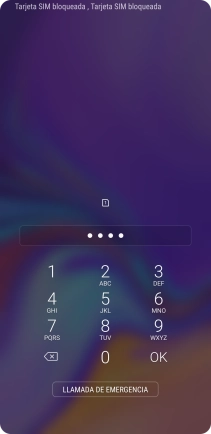 Si lo solicita el teléfono, introduce el código PIN y pulsa OK.