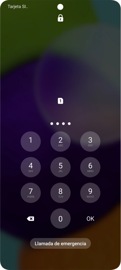 Si lo solicita el teléfono, introduce el código PIN y pulsa OK.