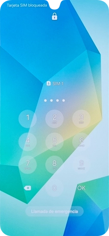 Si es necesario desbloquear la tarjeta SIM, introduce el código PIN y pulsa OK.