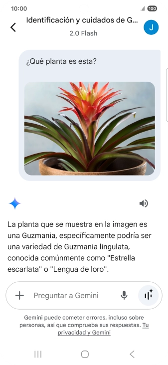 Sigue las indicaciones de la pantalla para escribir o decir en alto la pregunta deseada. Puedes adjuntar fotografías o documentos y hacer preguntas acerca de ellos.