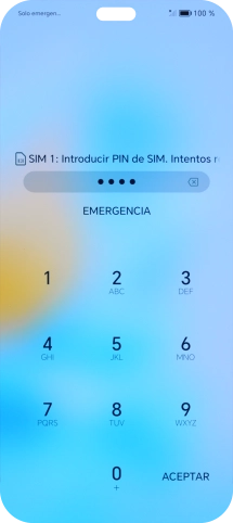 Si es necesario desbloquear la tarjeta SIM, introduce el código PIN y pulsa OK.