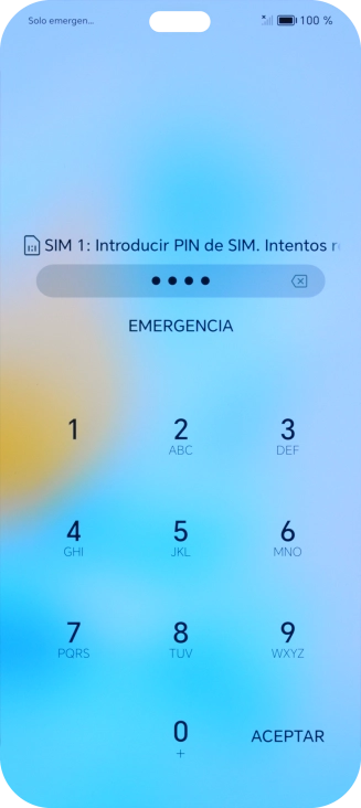 Si es necesario desbloquear la tarjeta SIM, introduce el código PIN y pulsa OK.