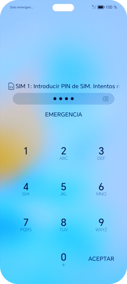 Si es necesario desbloquear la tarjeta SIM, introduce el código PIN y pulsa OK.