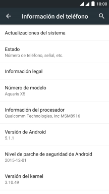 Pulsa Actualizaciones del sistema. Si hay una versión de software nueva disponible, aparecerá ahora en la pantalla. 
Sigue las indicaciones de la pantalla para actualizar el software del teléfono.