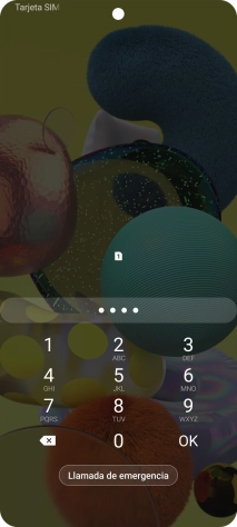 Si lo solicita el teléfono, introduce el código PIN y pulsa OK.