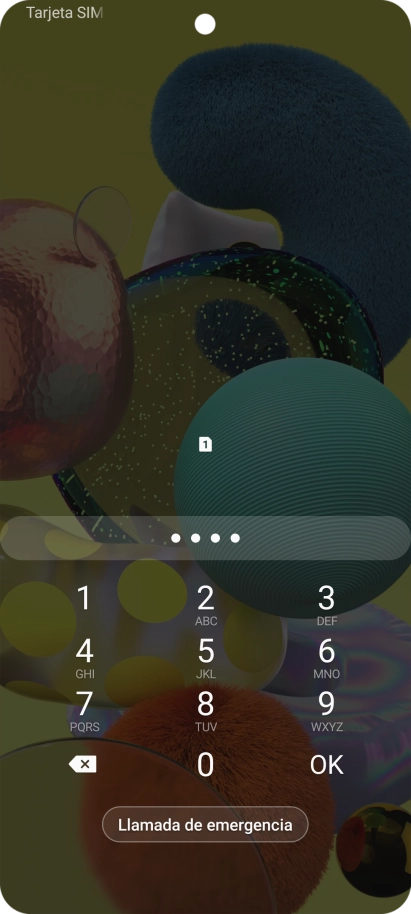 Si lo solicita el teléfono, introduce el código PIN y pulsa OK.