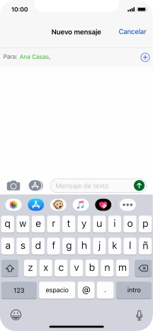 Pulsa en el campo de escritura y escribe el texto deseado.