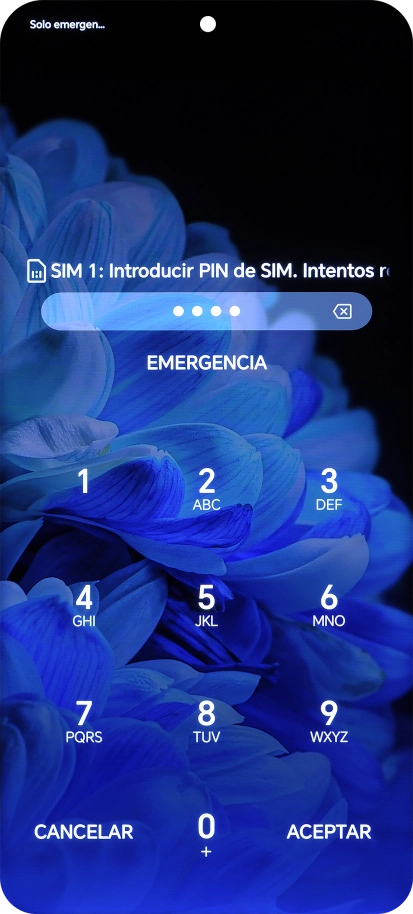 Si es necesario desbloquear la tarjeta SIM, introduce el código PIN y pulsa ACEPTAR.