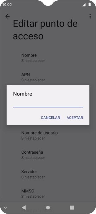 Introduce Vodafone Internet y pulsa ACEPTAR.