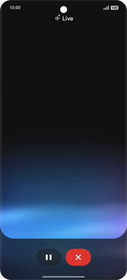 Habla con Gemini del tema que quieras.