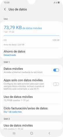 El consumo total de datos se visualiza ahora en la pantalla.