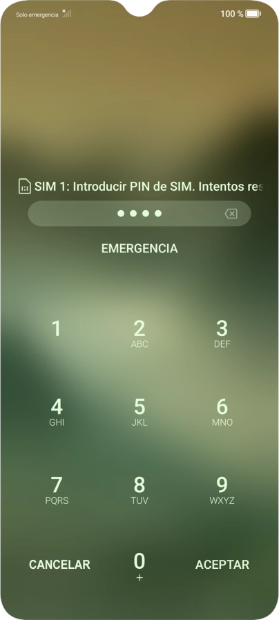 Si lo solicita el teléfono, introduce el código PIN y pulsa ACEPTAR.