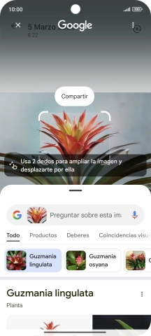 Sigue las indicaciones de la pantalla para utilizar los resultados de búsqueda.