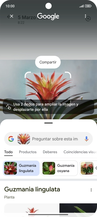 Sigue las indicaciones de la pantalla para utilizar los resultados de búsqueda.