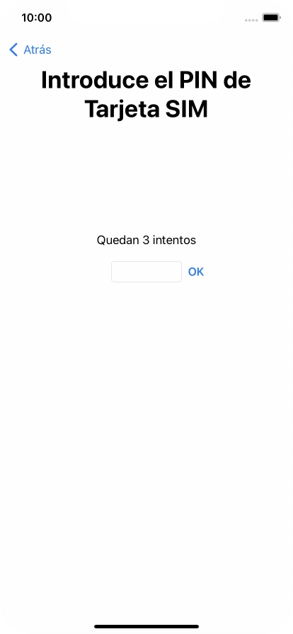 Si es necesario desbloquear la tarjeta SIM, introduce el código PIN y pulsa OK.