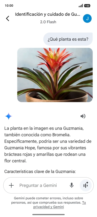 Sigue las indicaciones de la pantalla para escribir o decir en alto la pregunta deseada. Puedes adjuntar fotografías o documentos y hacer preguntas acerca de ellos.