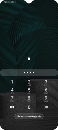 Si lo solicita el teléfono, introduce el código PIN y pulsa OK.
