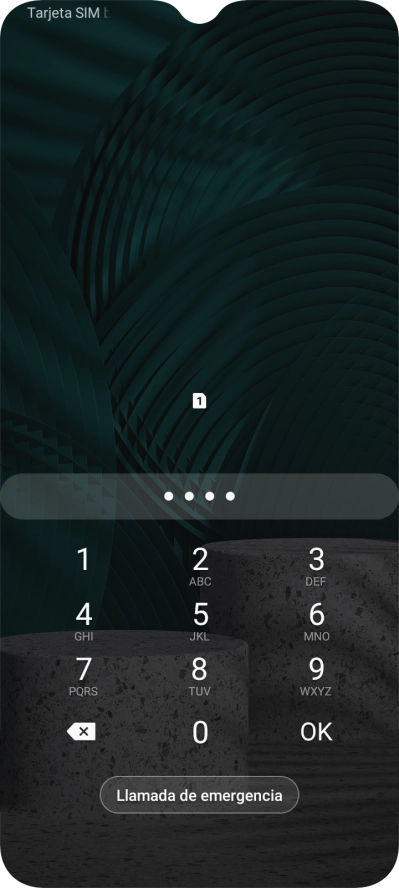 Si lo solicita el teléfono, introduce el código PIN y pulsa OK.