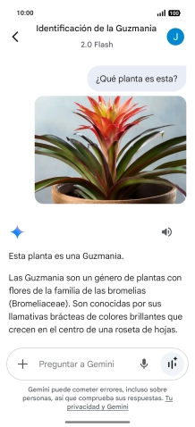 Sigue las indicaciones de la pantalla para escribir o decir en alto la pregunta deseada. Puedes adjuntar fotografías o documentos y hacer preguntas acerca de ellos.