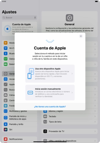 Pulsa Inicia sesión manualmente.