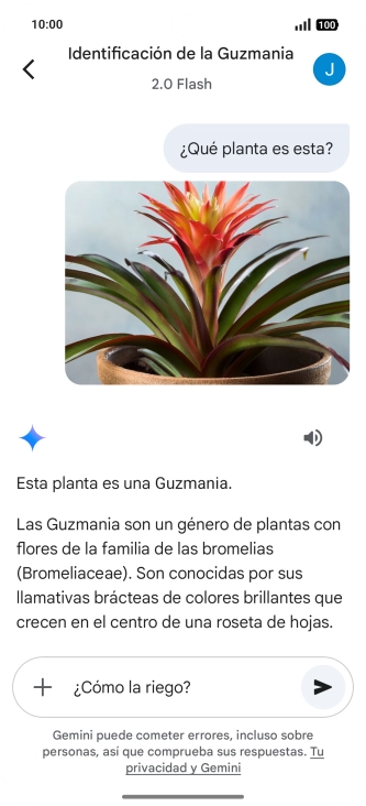 Sigue las indicaciones de la pantalla para escribir o decir en alto más preguntas y continuar la conversación.