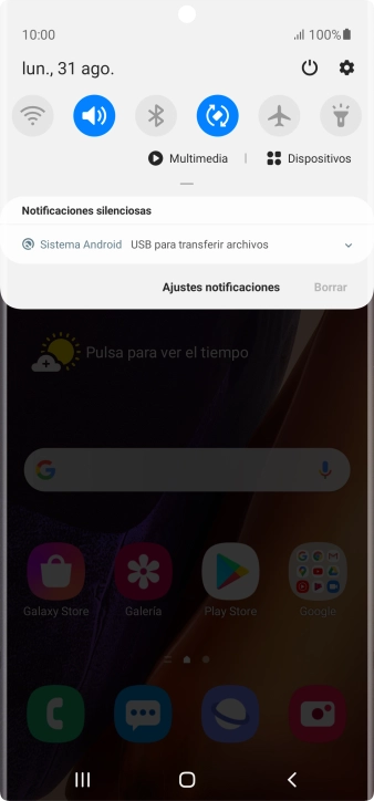 Pulsa Sistema Android.