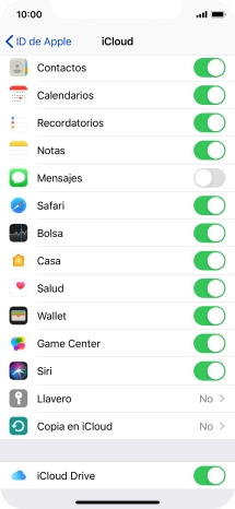 Pulsa Copia en iCloud.