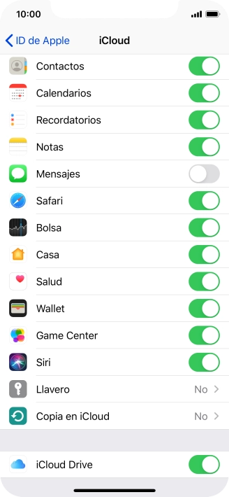 Pulsa Copia en iCloud.