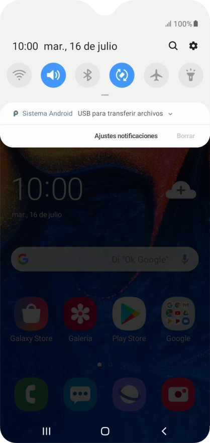Pulsa Sistema Android.