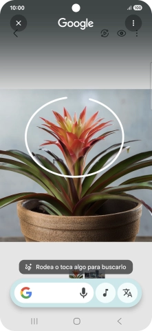 Rodea con un círculo el elemento deseado de la fotografía y espera a que aparezcan los resultados de búsqueda.