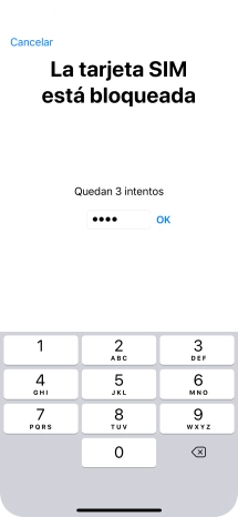 Si es necesario desbloquear la tarjeta SIM, introduce el código PIN y pulsa OK.