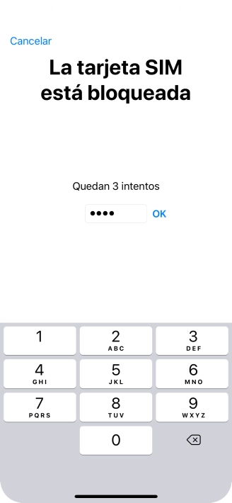 Si es necesario desbloquear la tarjeta SIM, introduce el código PIN y pulsa OK.