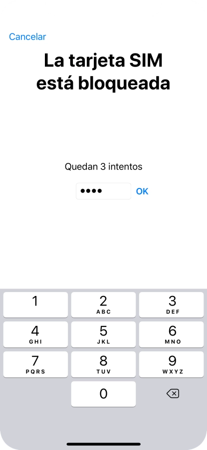 Si es necesario desbloquear la tarjeta SIM, introduce el código PIN y pulsa OK.