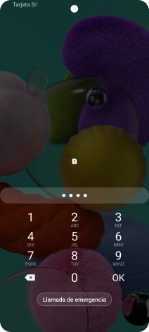 Si lo solicita el teléfono, introduce el código PIN y pulsa OK.