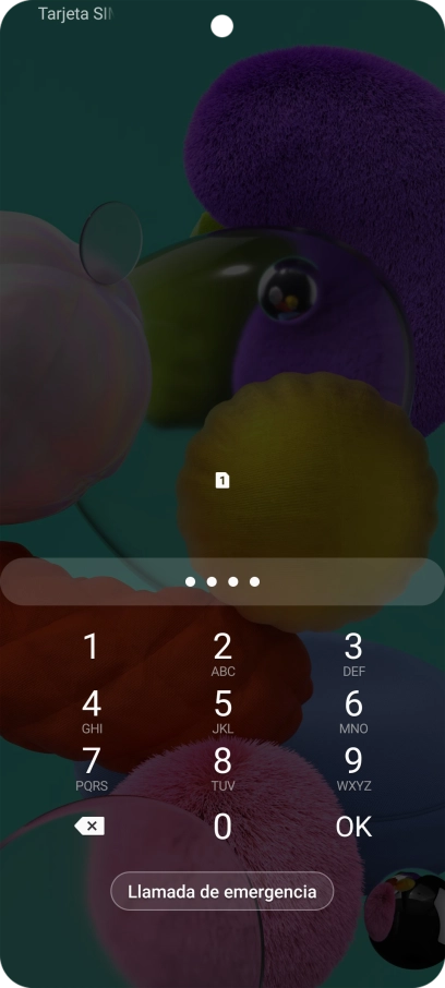 Si lo solicita el teléfono, introduce el código PIN y pulsa OK.