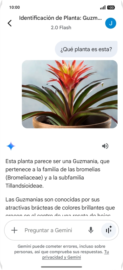 Sigue las indicaciones de la pantalla para escribir o decir en alto la pregunta deseada. Puedes adjuntar fotografías o documentos y hacer preguntas acerca de ellos.