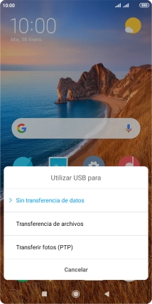 Pulsa Transferencia de archivos.