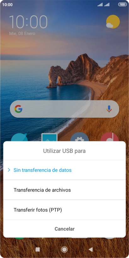 Pulsa Transferencia de archivos.