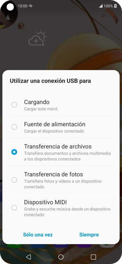Pulsa Transferencia de archivos.