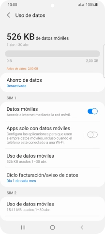 El consumo total de datos se visualiza ahora en la pantalla.