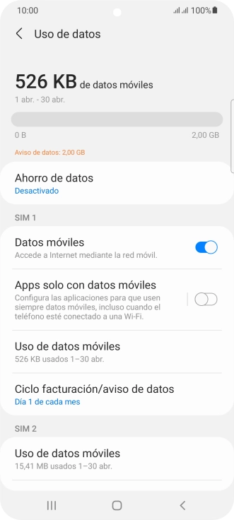 El consumo total de datos se visualiza ahora en la pantalla.