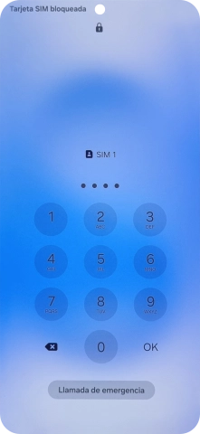Si es necesario desbloquear la tarjeta SIM, introduce el código PIN y pulsa OK.