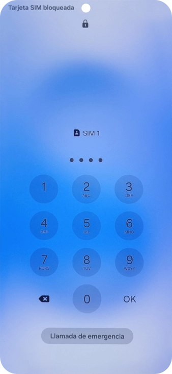 Si es necesario desbloquear la tarjeta SIM, introduce el código PIN y pulsa OK.
