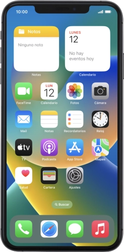 Apple iPhone Xs Max