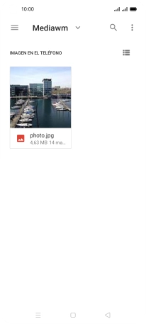 Pulsa el archivo deseado. Pulsa el archivo deseado.