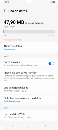 El consumo total de datos se visualiza ahora en la pantalla.
